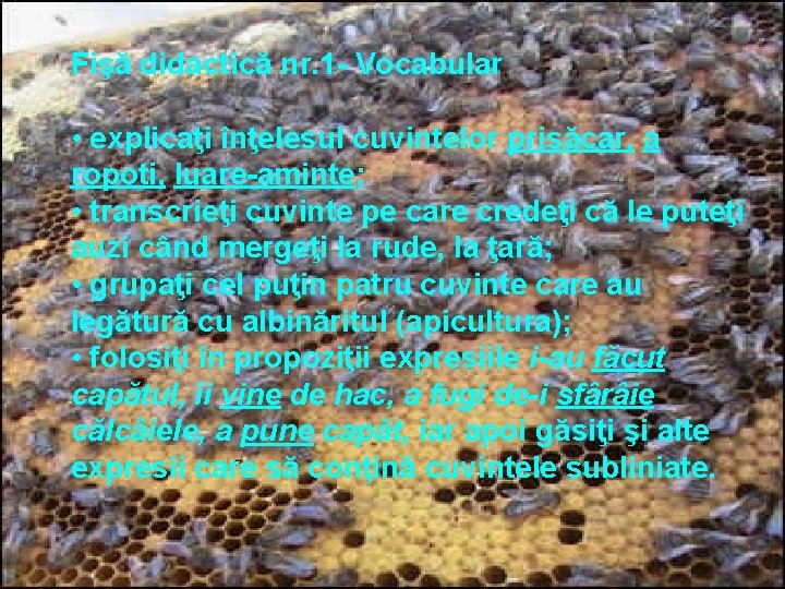 Fişă didactică nr. 1 - Vocabular • explicaţi înţelesul cuvintelor prisăcar, a ropoti, luare-aminte;
