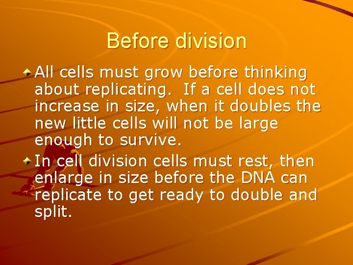 Before division All cells must grow before thinking about replicating. If a cell does