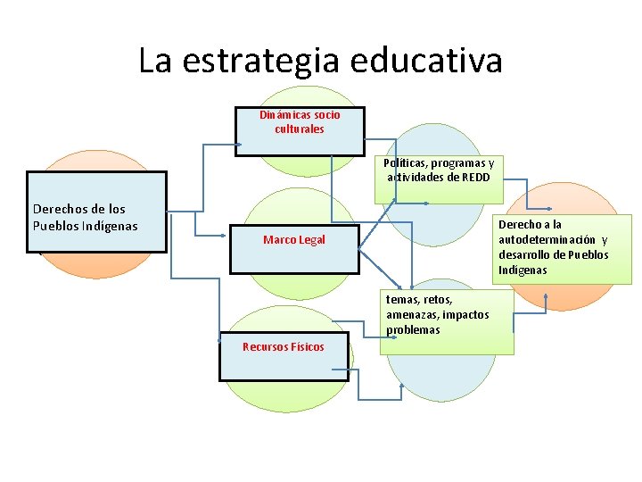 La estrategia educativa Dinámicas socio culturales • Políticas, programas y actividades de REDD Derechos