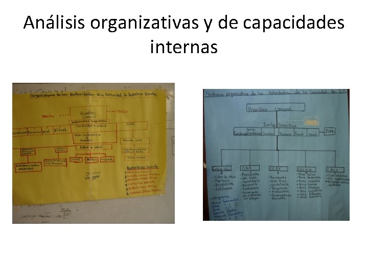 Análisis organizativas y de capacidades internas 