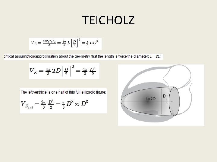 TEICHOLZ 