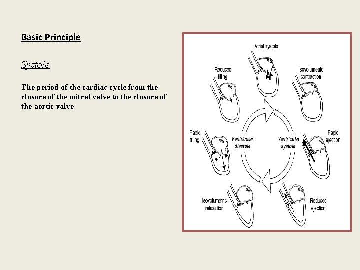 Basic Principle Systole The period of the cardiac cycle from the closure of the