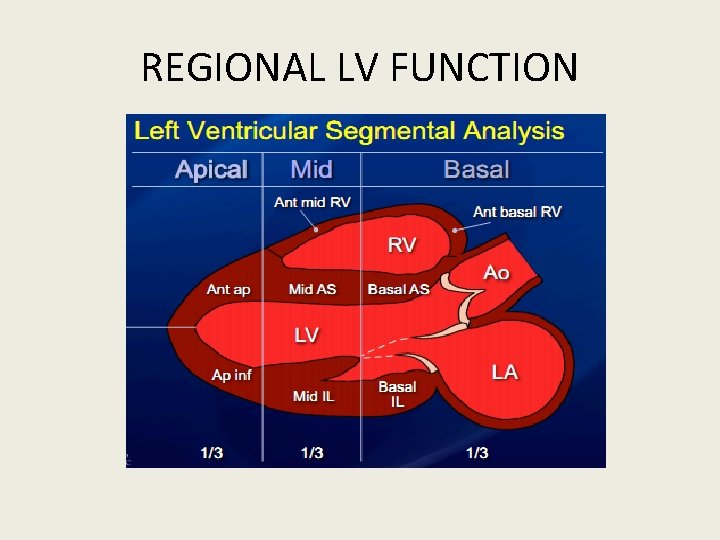 REGIONAL LV FUNCTION 