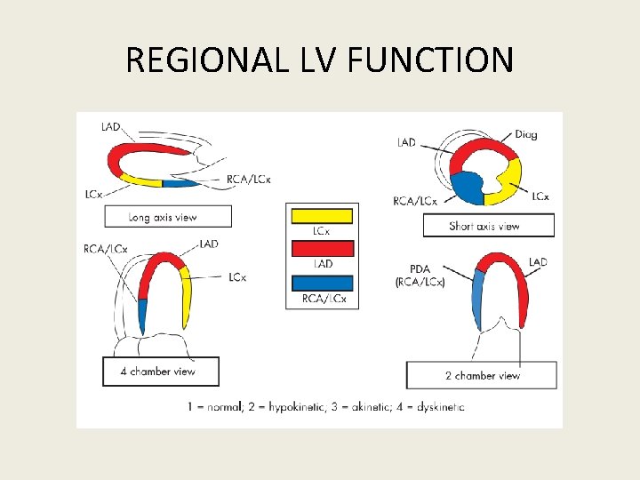 REGIONAL LV FUNCTION 