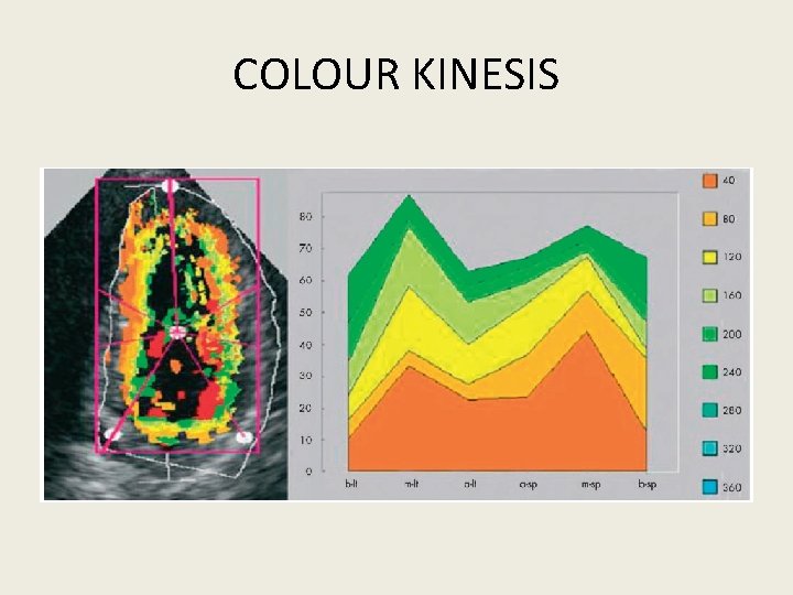 COLOUR KINESIS 