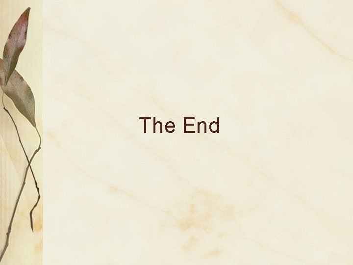 The End 