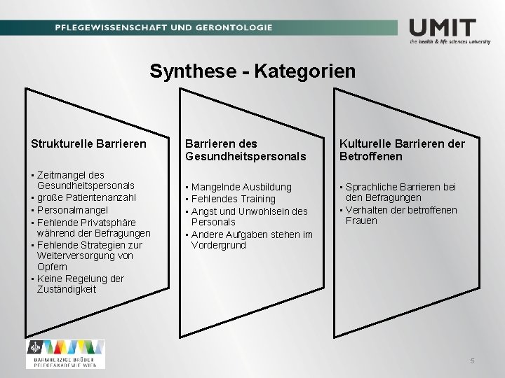 Synthese - Kategorien Strukturelle Barrieren • Zeitmangel des Gesundheitspersonals • große Patientenanzahl • Personalmangel