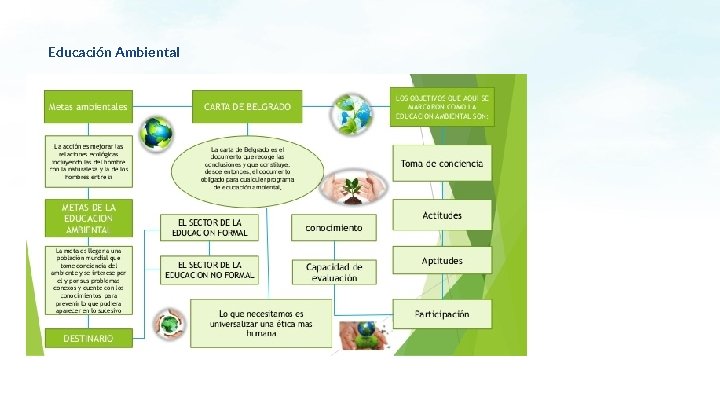 Educación Ambiental 