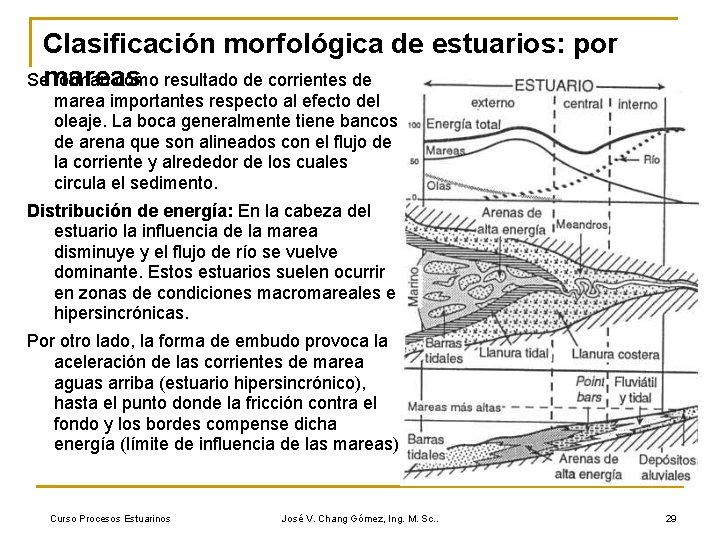 Clasificación morfológica de estuarios: por Se forman como resultado de corrientes de mareas marea