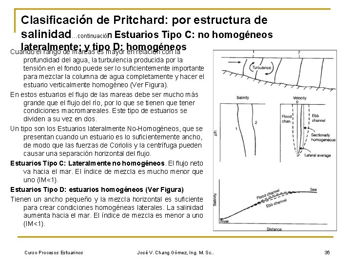 Clasificación de Pritchard: por estructura de salinidad…continuación Estuarios Tipo C: no homogéneos lateralmente; y