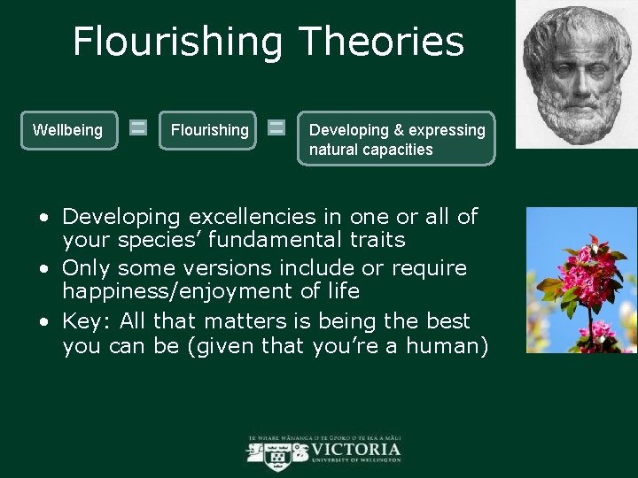Flourishing Theories Wellbeing Flourishing Developing & expressing natural capacities • Developing excellencies in one
