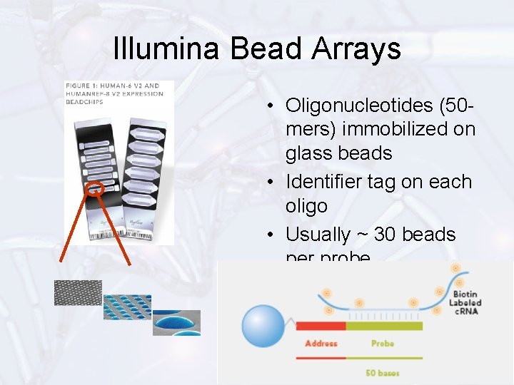 Illumina Bead Arrays • Oligonucleotides (50 mers) immobilized on glass beads • Identifier tag