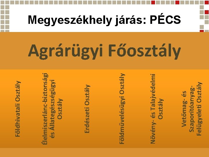 Vetőmag- és Szaporítóanyag. Felügyeleti Osztály Növény- és Talajvédelmi Osztály Földművelésügyi Osztály Erdészeti Osztály Élelmiszerlánc-biztonsági