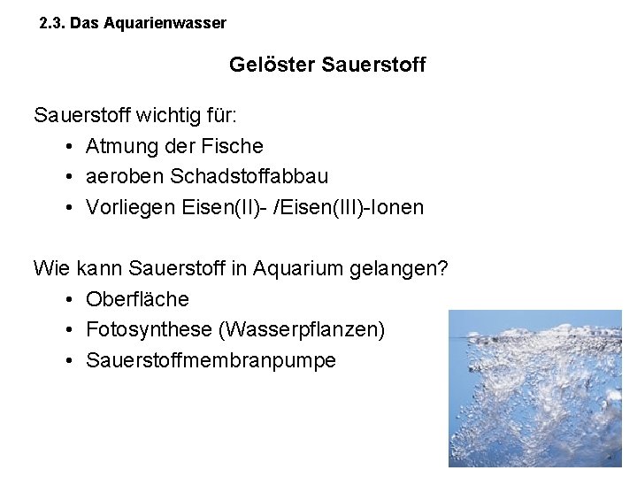 2. 3. Das Aquarienwasser Gelöster Sauerstoff wichtig für: • Atmung der Fische • aeroben