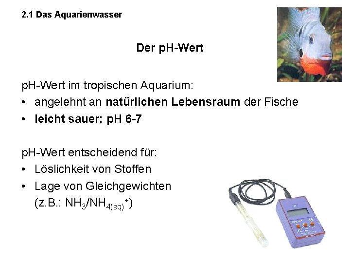 2. 1 Das Aquarienwasser Der p. H-Wert im tropischen Aquarium: • angelehnt an natürlichen