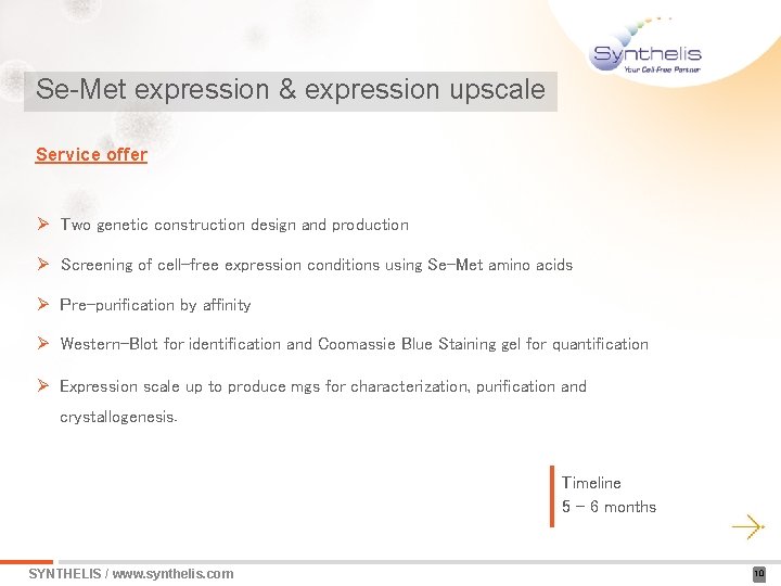 Se-Met expression & expression upscale Service offer Ø Two genetic construction design and production