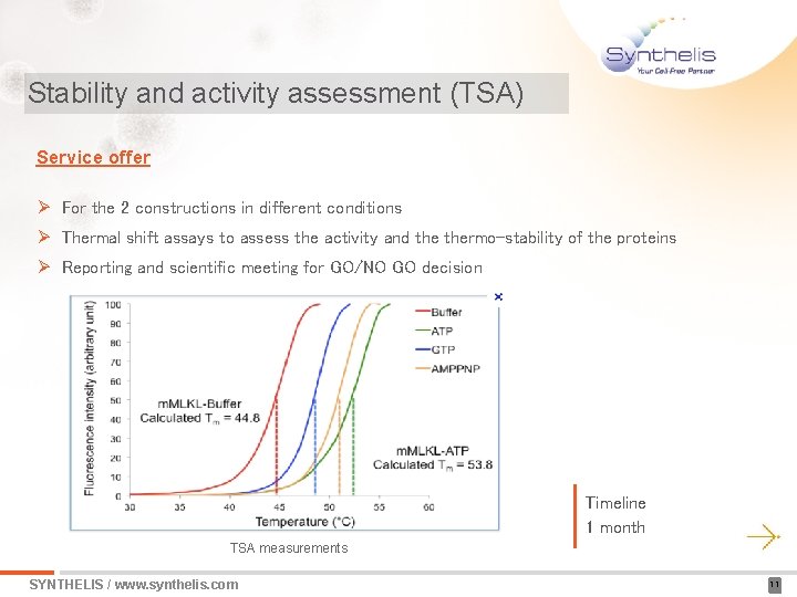 Stability and activity assessment (TSA) Service offer Ø For the 2 constructions in different