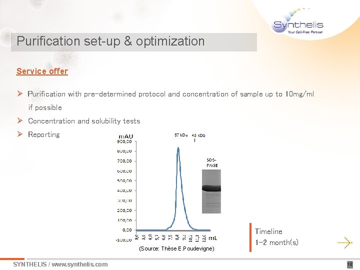 Purification set-up & optimization Service offer Ø Purification with pre-determined protocol and concentration of