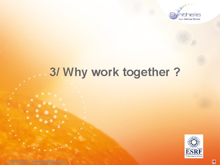 3/ Why work together ? SYNTHELIS / www. synthelis. com 18 