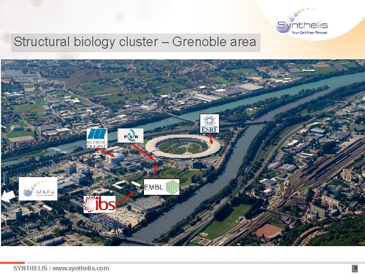 Structural biology cluster – Grenoble area SYNTHELIS / www. synthelis. com 5 
