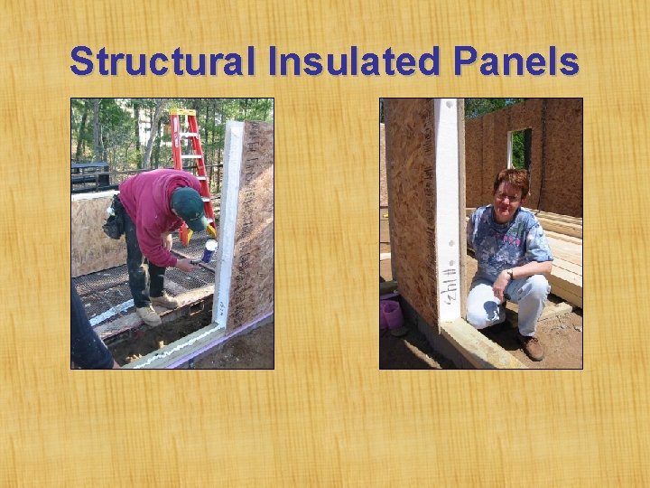 Structural Insulated Panels 