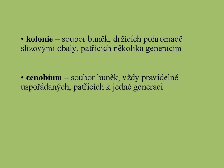  • kolonie – soubor buněk, držících pohromadě slizovými obaly, patřících několika generacím •