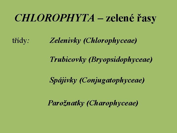 CHLOROPHYTA – zelené řasy třídy: Zelenivky (Chlorophyceae) Trubicovky (Bryopsidophyceae) Spájivky (Conjugatophyceae) Parožnatky (Charophyceae) 