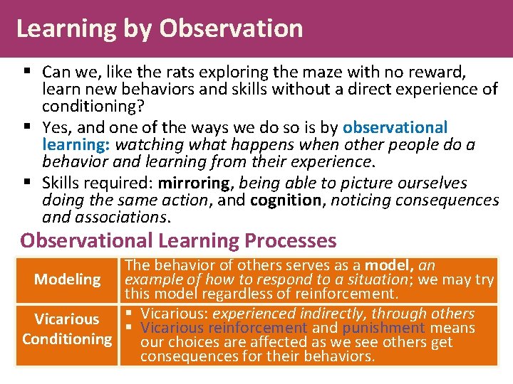 Learning by Observation § Can we, like the rats exploring the maze with no