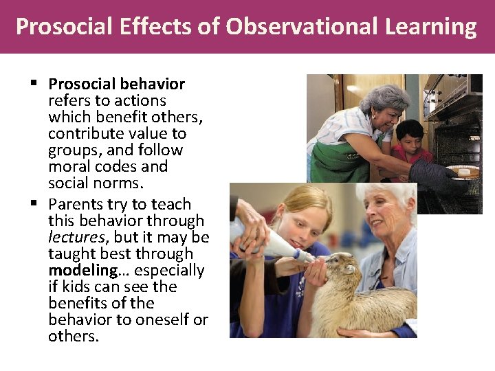 Prosocial Effects of Observational Learning § Prosocial behavior refers to actions which benefit others,