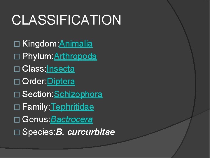CLASSIFICATION � Kingdom: Animalia � Phylum: Arthropoda � Class: Insecta � Order: Diptera �