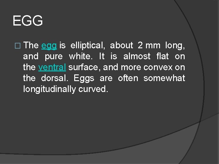 EGG � The egg is elliptical, about 2 mm long, and pure white. It