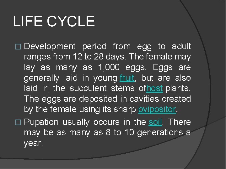 LIFE CYCLE Development period from egg to adult ranges from 12 to 28 days.