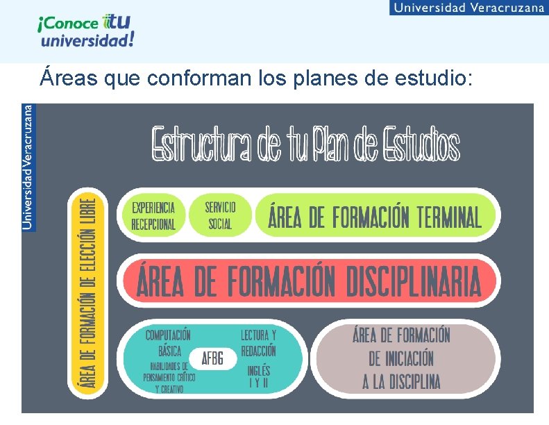 Áreas que conforman los planes de estudio: 