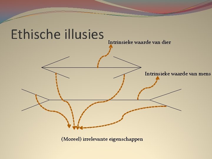 Ethische illusies Intrinsieke waarde van dier Intrinsieke waarde van mens (Moreel) irrelevante eigenschappen 