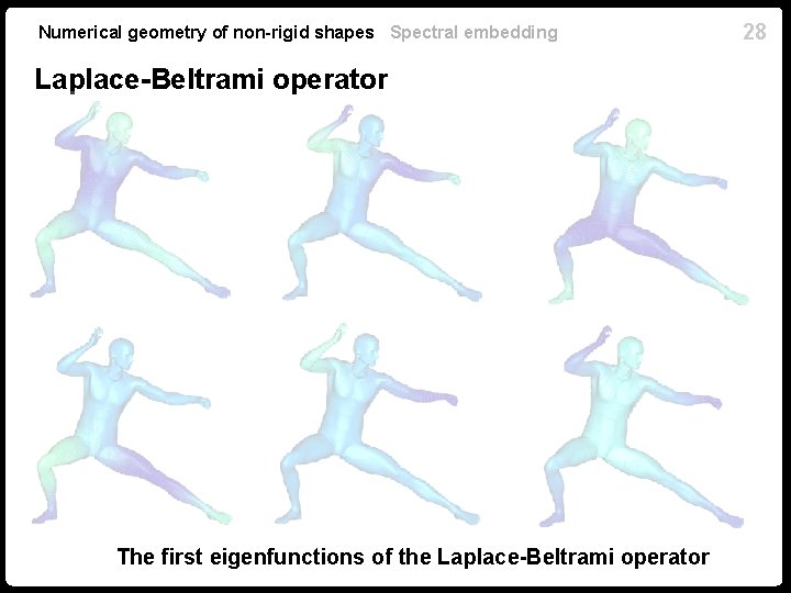 Numerical geometry of non-rigid shapes Spectral embedding Laplace-Beltrami operator The first eigenfunctions of the