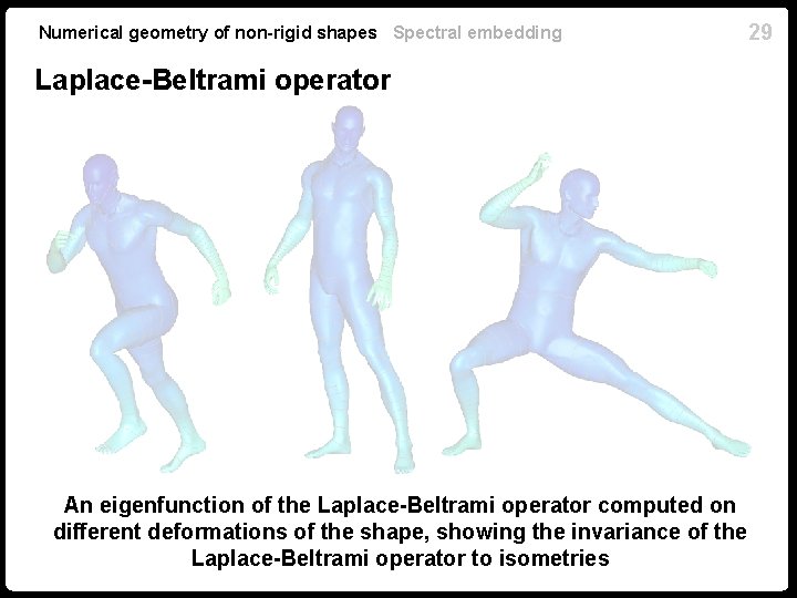 Numerical geometry of non-rigid shapes Spectral embedding Laplace-Beltrami operator An eigenfunction of the Laplace-Beltrami