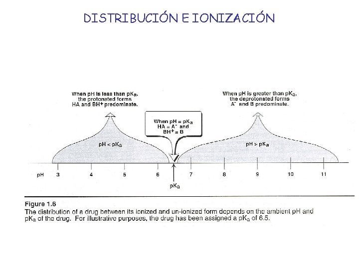 DISTRIBUCIÓN E IONIZACIÓN 