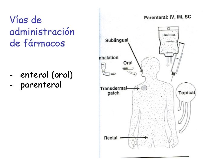 Vías de administración de fármacos - enteral (oral) - parenteral 