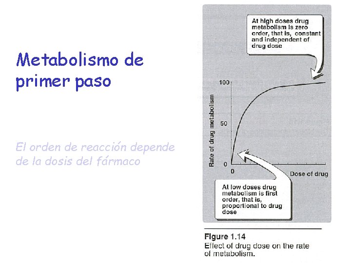 Metabolismo de primer paso El orden de reacción depende de la dosis del fármaco