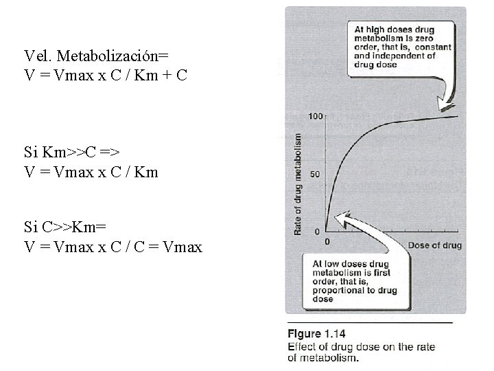 Vel. Metabolización= V = Vmax x C / Km + C Si Km>>C =>