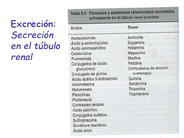 Excreción: Secreción en el túbulo renal 