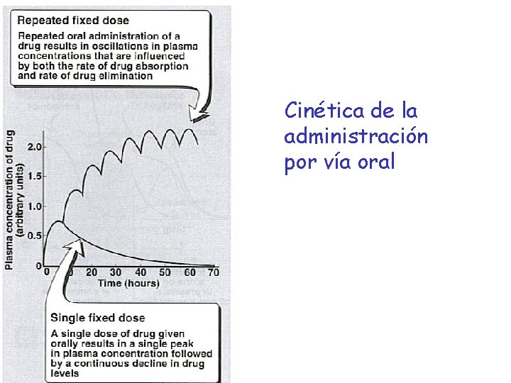 Cinética de la administración por vía oral 