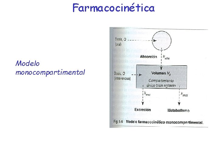 Farmacocinética Modelo monocompartimental 