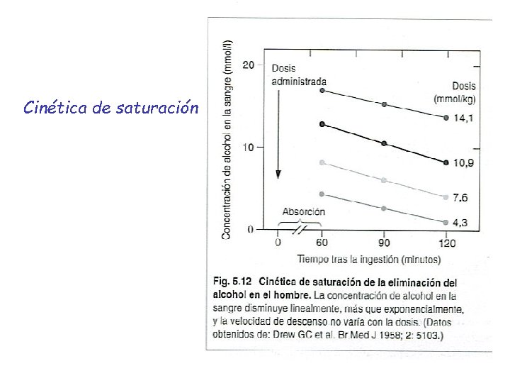 Cinética de saturación 