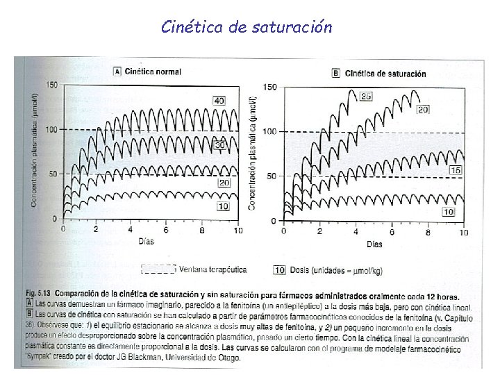 Cinética de saturación 