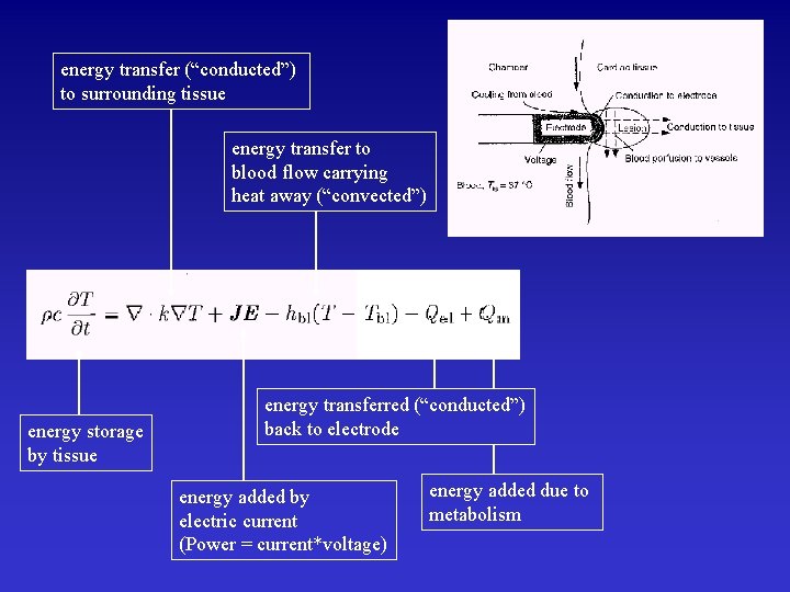 energy transfer (“conducted”) to surrounding tissue energy transfer to blood flow carrying heat away