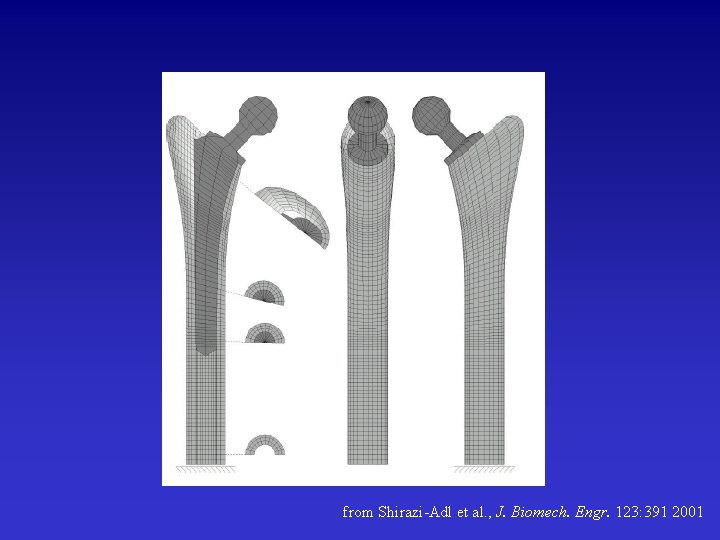 from Shirazi-Adl et al. , J. Biomech. Engr. 123: 391 2001 