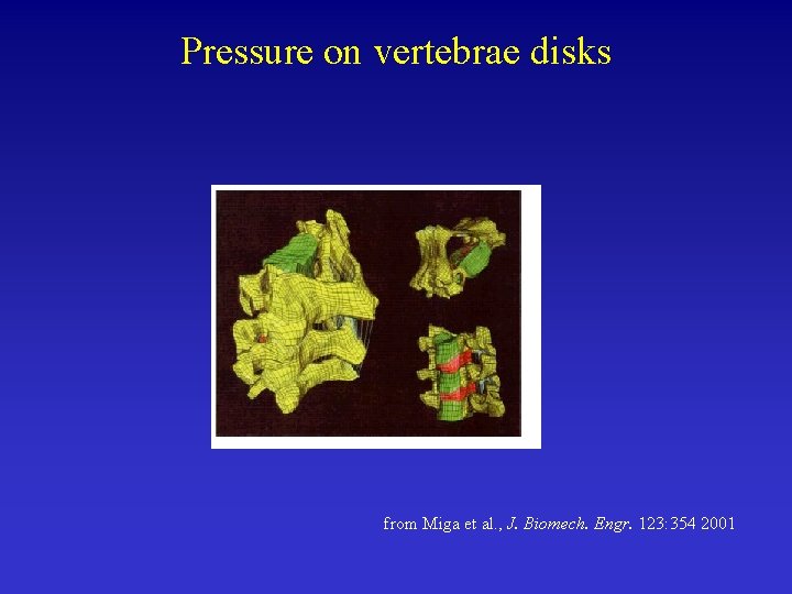 Pressure on vertebrae disks from Miga et al. , J. Biomech. Engr. 123: 354