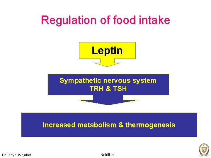 Regulation of food intake Leptin Sympathetic nervous system TRH & TSH Increased metabolism &