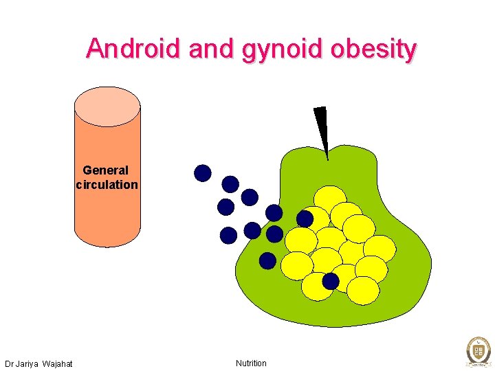 Android and gynoid obesity General circulation Dr Jariya Wajahat Nutrition 